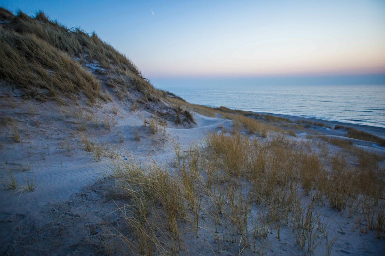 Dancamps Holmsland - Bild 12 Dancamps Holmsland - Bild 12