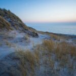 Dancamps Holmsland - Bild 12 Dancamps Holmsland - Bild 12