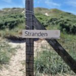 Dancamps Holmsland - Bild 13 Dancamps Holmsland - Bild 13