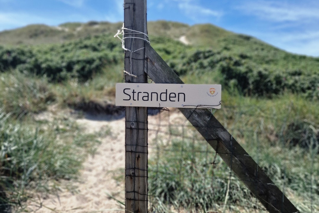 Dancamps Holmsland - Bild 13 Dancamps Holmsland - Bild 13