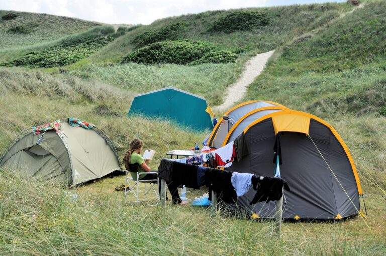 Dancamps Holmsland - Bild 6 Dancamps Holmsland - Bild 6