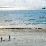 Dancamps Holmsland - Bild 9 Dancamps Holmsland - Bild 9