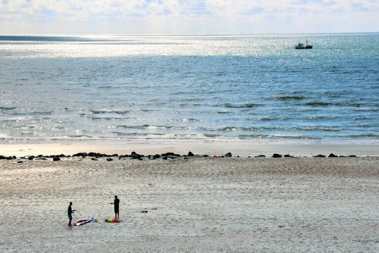 Dancamps Holmsland - Bild 9 Dancamps Holmsland - Bild 9