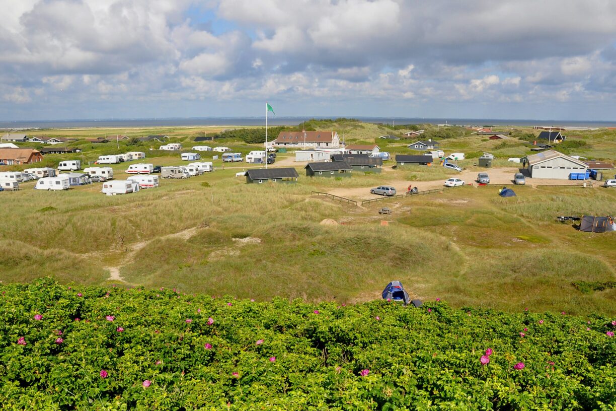 Dancamps Holmsland - Bild 1 Dancamps Holmsland - Bild 1