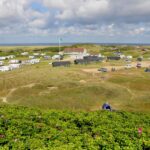 Dancamps Holmsland - Bild 1 Dancamps Holmsland - Bild 1