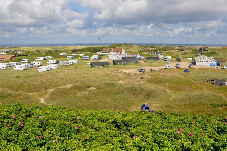 Dancamps Holmsland - Bild 1