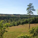 Dcu Camping Silkeborg - Hesselhus - Bild 9