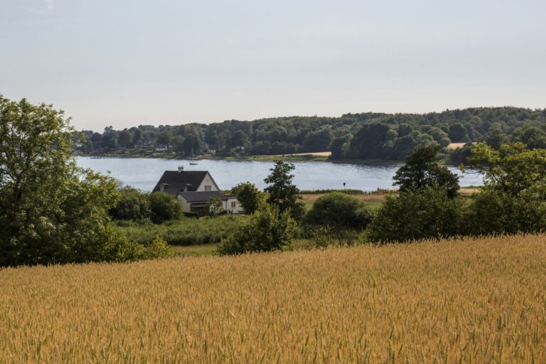 Dcu-camping Kollund - Bild 8