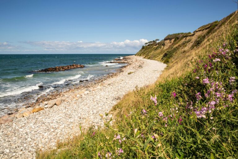 Dcu-camping Kulhuse - Bild 4