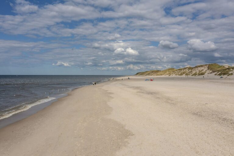 Dcu-camping Lyngvig Strand - Bild 12