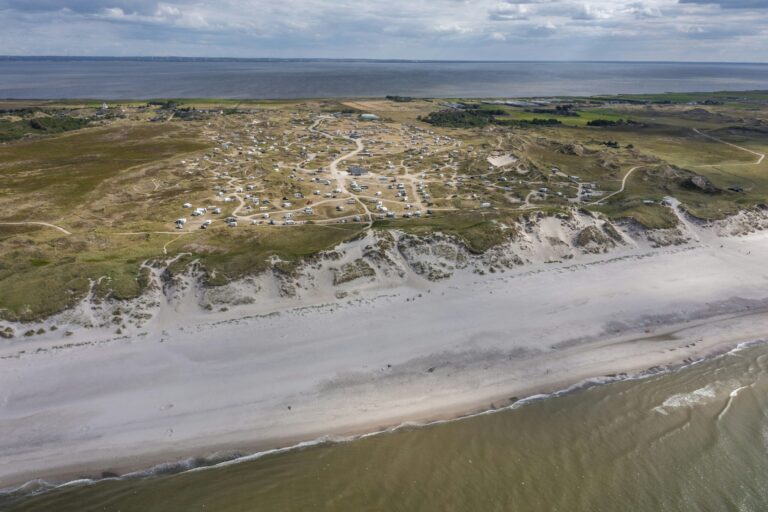 Dcu-camping Lyngvig Strand - Bild 16