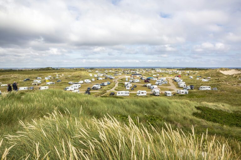 Dcu-camping Lyngvig Strand - Bild 9