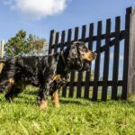 Dcu-camping Rågeleje Strand - Bild 7