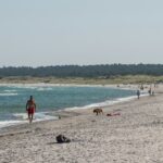 Dcu-camping Rørvig Strand - Bild 2