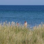 Dcu-camping Rørvig Strand - Bild 6