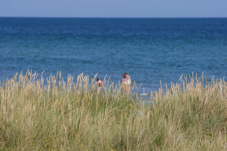 Dcu-camping Rørvig Strand - Bild 6