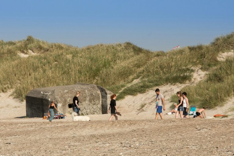 Dcu-camping Tranum - Bild 8