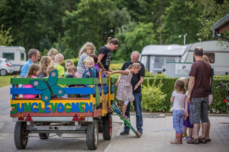 Dcu-camping Viborg Sø - Bild 6