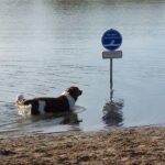 De Gouwe Stek - Bild 7