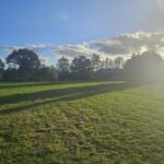 De Happyfarm - Bild 7