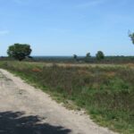 De Heidebloem Recreatie - Bild 11