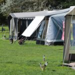 De Heidebloem Recreatie - Bild 6