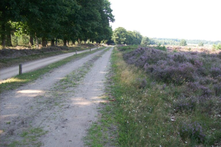 De Heidebloem Recreatie - Bild 9