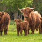 De Zwammenberg - Bild 14