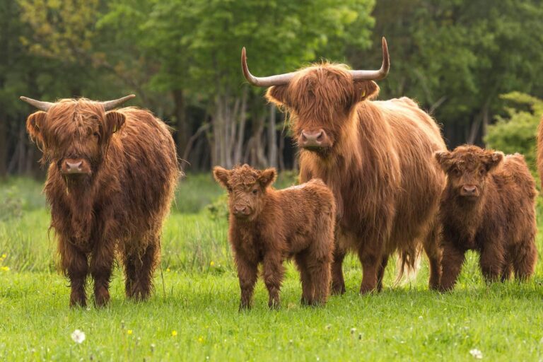 De Zwammenberg - Bild 14