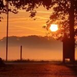 De Zwammenberg - Bild 16