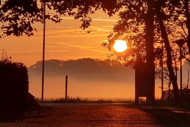 De Zwammenberg - Bild 16