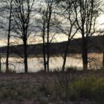 Degernäs Camping - Bild 14