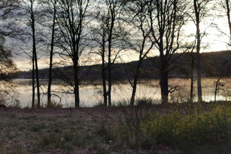 Degernäs Camping - Bild 14