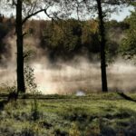 Degernäs Camping - Bild 16