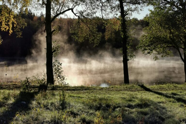 Degernäs Camping - Bild 16