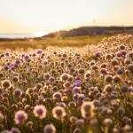 Destination Apelviken - Bild 13