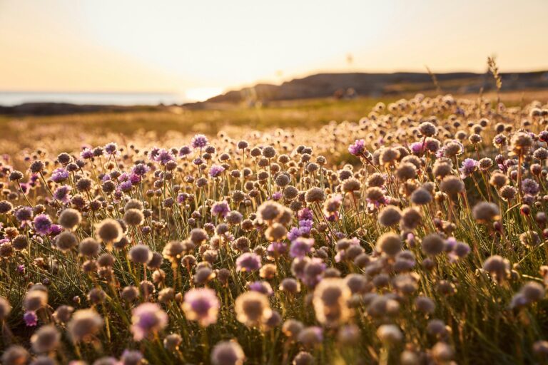 Destination Apelviken - Bild 13