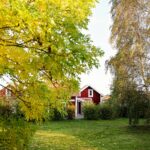 Destination Apelviken - Bild 4