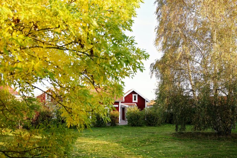 Destination Apelviken - Bild 4