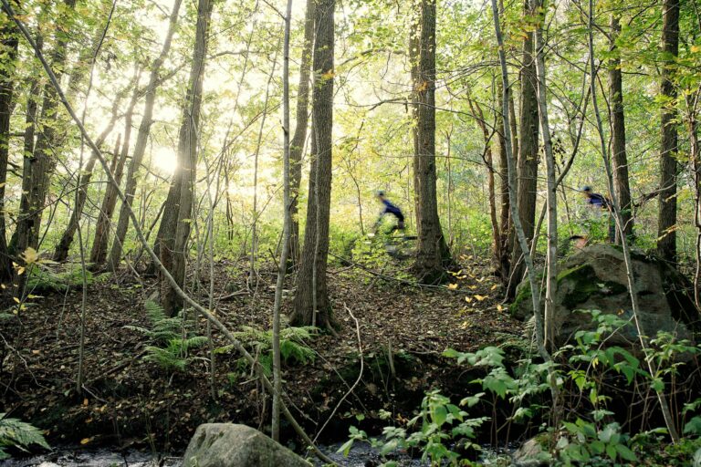 Destination Apelviken - Bild 5