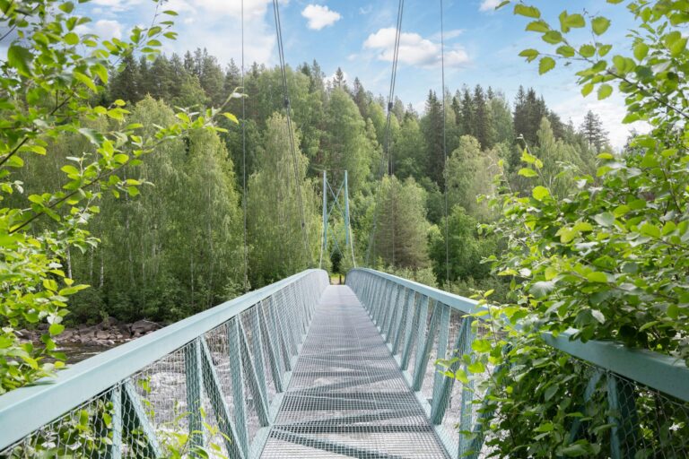 Destination Sikfors - Bild 11