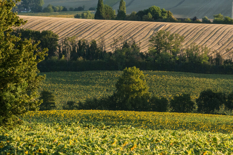 Domaine Aramis - Bild 19