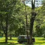 Domaine D'haulmé - Bild 7 Domaine D'haulmé - Bild 7