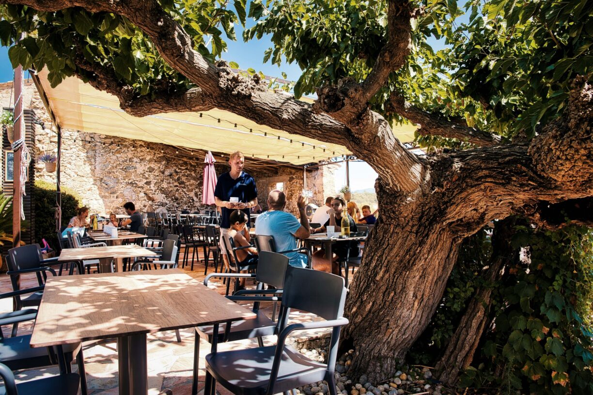 Domaine De La Bergerie - Bild 18 Domaine De La Bergerie - Bild 18