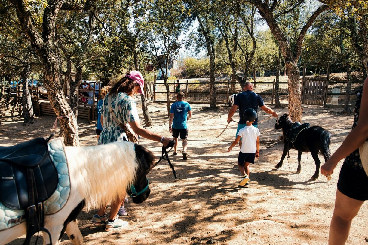 Domaine De La Bergerie - Bild 20 Domaine De La Bergerie - Bild 20