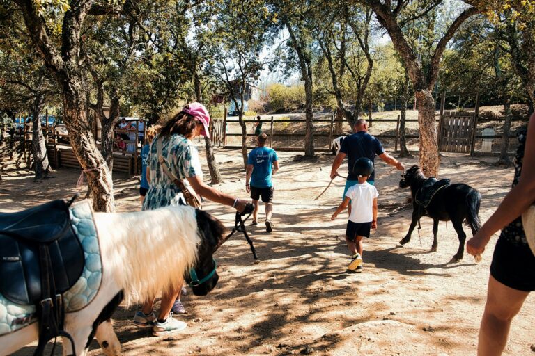 Domaine De La Bergerie - Bild 20 Domaine De La Bergerie - Bild 20