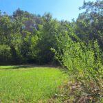 Domaine De L'écluse - Bild 13 Domaine De L'écluse - Bild 13