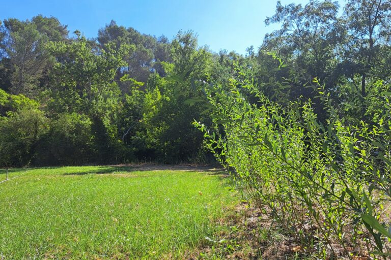 Domaine De L'écluse - Bild 13 Domaine De L'écluse - Bild 13