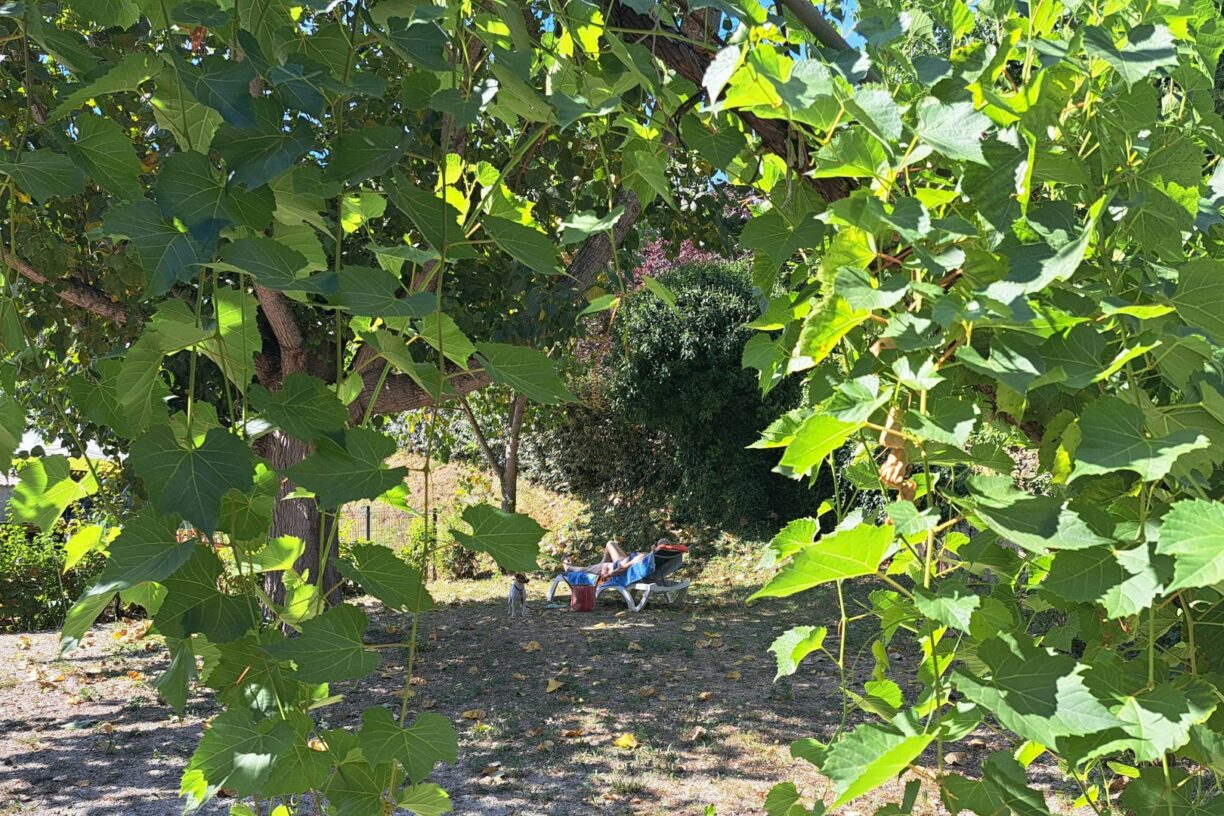 Domaine De L'écluse - Bild 14 Domaine De L'écluse - Bild 14