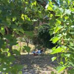 Domaine De L'écluse - Bild 14 Domaine De L'écluse - Bild 14